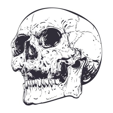 Kafatası vektör silueti tasarımı sanat eseri