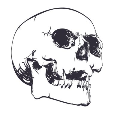 Kafatası vektör silueti tasarımı sanat eseri