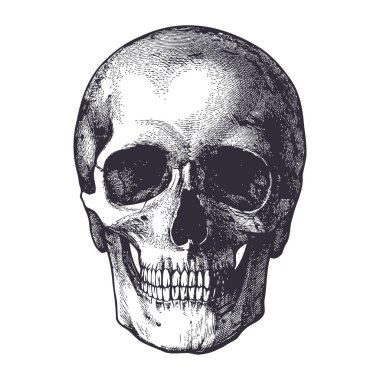 Kafatası vektör silueti tasarımı sanat eseri