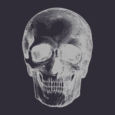 Kafatası vektör silueti tasarımı sanat eseri