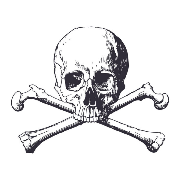 Skull vector silhouette design artwork