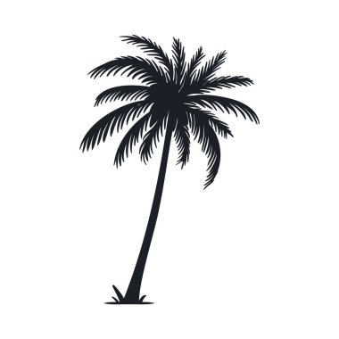 Hindistan cevizi ağacı vektör silueti