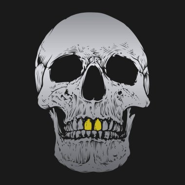 Kafatası ve kemik vektör tasarımı. Düzenlenebilir, yeniden boyutlandırılabilir, EPS 10, vektör illüstrasyonu