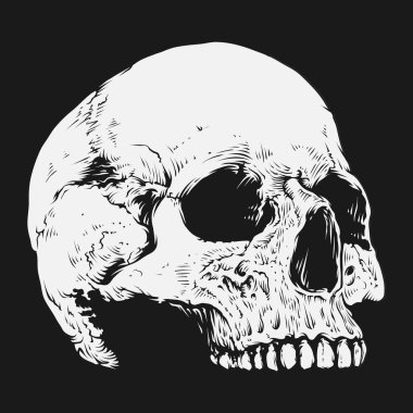 Kafatası ve kemik vektör tasarımı. Düzenlenebilir, yeniden boyutlandırılabilir, EPS 10, vektör illüstrasyonu