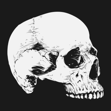 Kafatası ve kemik vektör tasarımı. Düzenlenebilir, yeniden boyutlandırılabilir, EPS 10, vektör illüstrasyonu