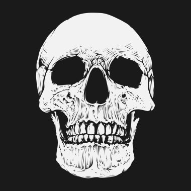 Kafatası ve kemik vektör tasarımı. Düzenlenebilir, yeniden boyutlandırılabilir, EPS 10, vektör illüstrasyonu