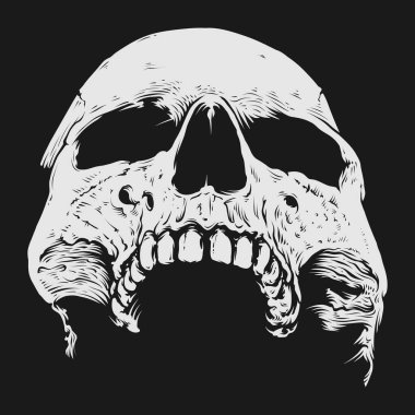 Kafatası ve kemik vektör tasarımı. Düzenlenebilir, yeniden boyutlandırılabilir, EPS 10, vektör illüstrasyonu