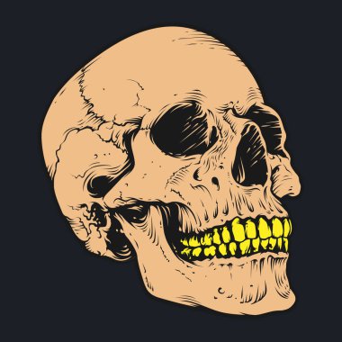 Kafatası ve kemik vektör tasarımı. Düzenlenebilir, yeniden boyutlandırılabilir, EPS 10, vektör illüstrasyonu