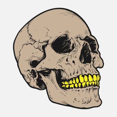 Kafatası ve kemik vektör tasarımı. Düzenlenebilir, yeniden boyutlandırılabilir, EPS 10, vektör illüstrasyonu