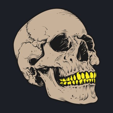 Kafatası ve kemik vektör tasarımı. Düzenlenebilir, yeniden boyutlandırılabilir, EPS 10, vektör illüstrasyonu