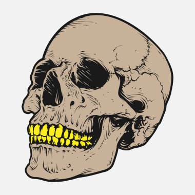 Kafatası ve kemik vektör tasarımı. Düzenlenebilir, yeniden boyutlandırılabilir, EPS 10, vektör illüstrasyonu