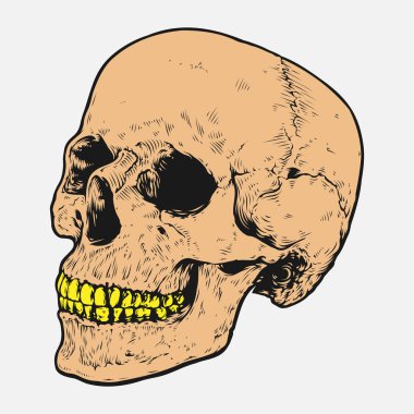 Kafatası ve kemik vektör tasarımı. Düzenlenebilir, yeniden boyutlandırılabilir, EPS 10, vektör illüstrasyonu