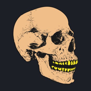 Kafatası ve kemik vektör tasarımı. Düzenlenebilir, yeniden boyutlandırılabilir, EPS 10, vektör illüstrasyonu