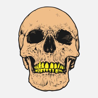 Kafatası ve kemik vektör tasarımı. Düzenlenebilir, yeniden boyutlandırılabilir, EPS 10, vektör illüstrasyonu