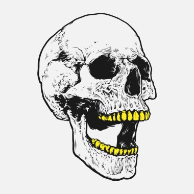 Kafatası ve kemik vektör tasarımı. Düzenlenebilir, yeniden boyutlandırılabilir, EPS 10, vektör illüstrasyonu