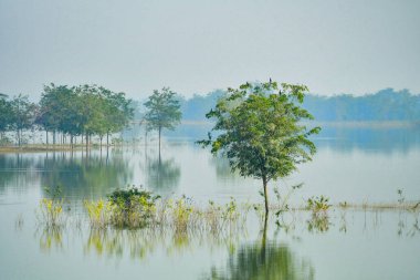 Suya yansıyan yeşil ağaç, Suyu yansıtan bulutlar ve ağaçlar.