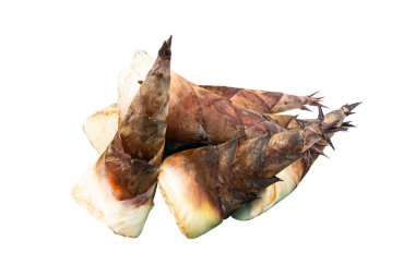 Bambu filizleri beyaz arka planda, yerel yiyeceklerde izole edildi.