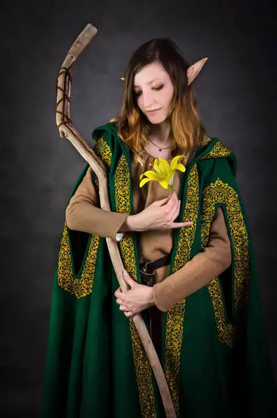 Canlı yeşil bir pelerin giymiş altın işlemeli bir elf Druid. Bir elinde ahşap bir değneğe yaslanırken narin sarı bir çiçek tutuyor, doğayla ve büyülü özüyle uyumu simgeliyor. Huzurlu ifadesi ve elf kulakları 