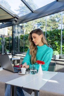 Worried serious woman working on the notebook in the restaurant