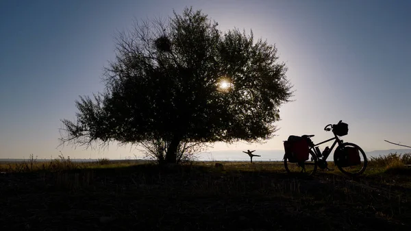 Styl Życia Podróżującego Rowerzysty Pod Wielkim Pojedynczym Drzewem — Zdjęcie stockowe