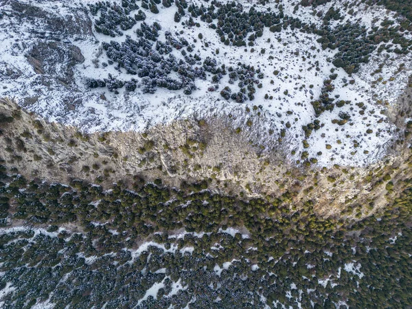 Aerial Details Bad Winter Season Little Snow Texture Forest — стоковое фото