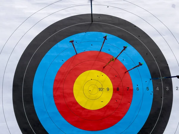 archery target board used in professional long shots