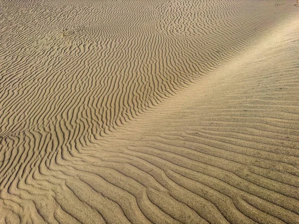 배경에 터키의 사막으로 도알려져 파타라 Antalya Turkey Patara 외국인 관광객들의 — 스톡 사진