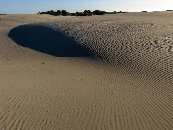 在沙漠沙丘背景下的日落 Patara Antalya Turkey Patara沙丘 也被称为土耳其隐藏的沙漠 特别吸引了外国游客的注意力 — 图库照片
