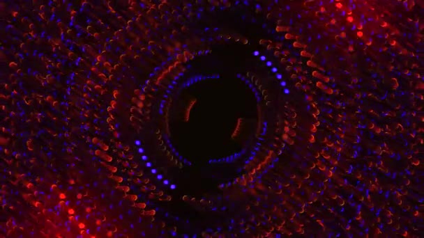 サーキュラー波の影響 曲線波 ラジオ波 ジェラフィッシュアニメーションスタイル デジタル波技術 サウンド ネットワーク イコライザー 構造的なグリッドと円を持つ科学的なダークパターン 4Kアニメーション — ストック動画