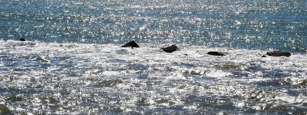 Sahildeki deniz dalgaları