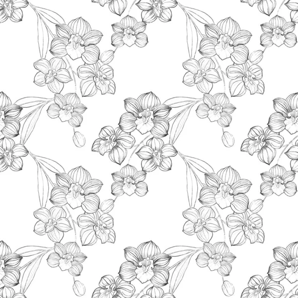 Иллюстрация Бесшовный Рисунок Черных Каракулей Линии Цветения Орхидеи Случайные Ветви — стоковое фото