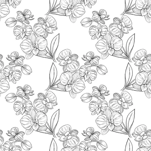 Illustration Seamless Pattern Drawing Black Doodle Line Orchid Blooming Random — Stock Photo, Image