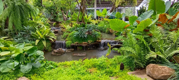 Pequeño Arroyo Estanque Exuberante Jardín Tropical Parque Vegetación Helecho Epífita — Foto de Stock