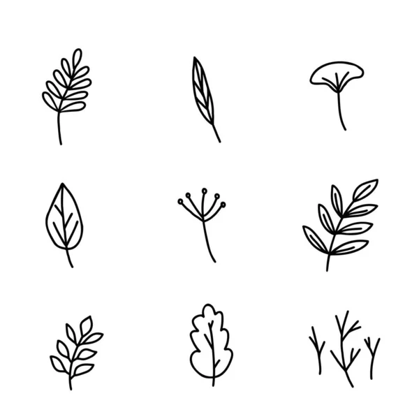 Hand Drawn Doodle Style Vector Illustration Set Fall Forest Nature — Stock Vector