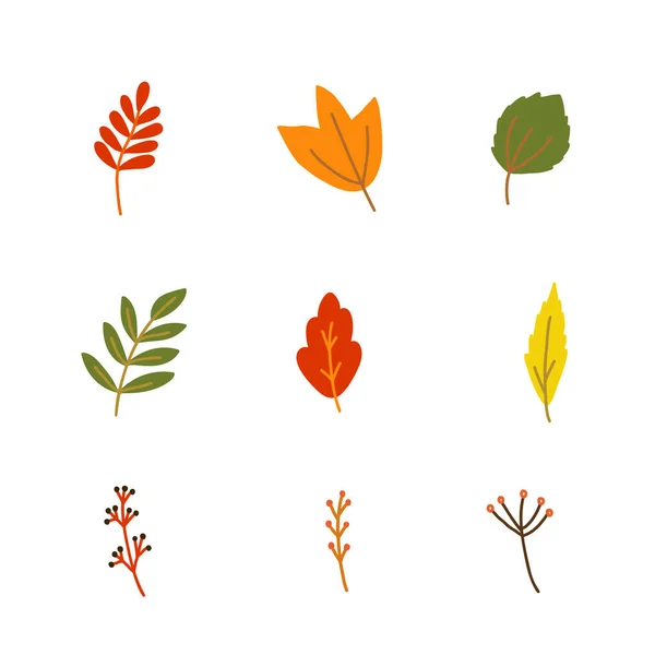 Набор Векторных Иллюстраций Стиле Осенних Лесов Таких Веточки Ветви Ягоды — стоковый вектор