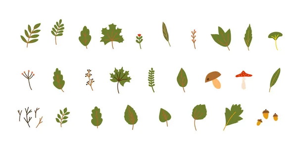 Conjunto Ilustração Vetorial Estilo Desenhado Mão Elementos Natureza Floresta Verde — Vetor de Stock