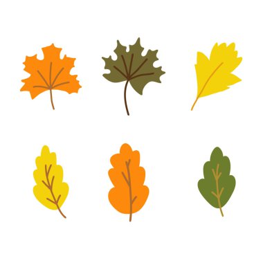Turuncu, yeşil, sarı sonbahar yaprağı ve meşeden oluşan el çizimi stili bir illüstrasyon seti. Renk çizimi beyaza izole edildi.