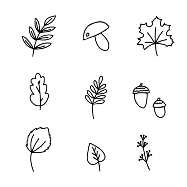 Ręcznie Rysowane Doodle Stylu Wektor Ilustracja Zestaw Jesiennych Elementów Leśnych — Wektor stockowy