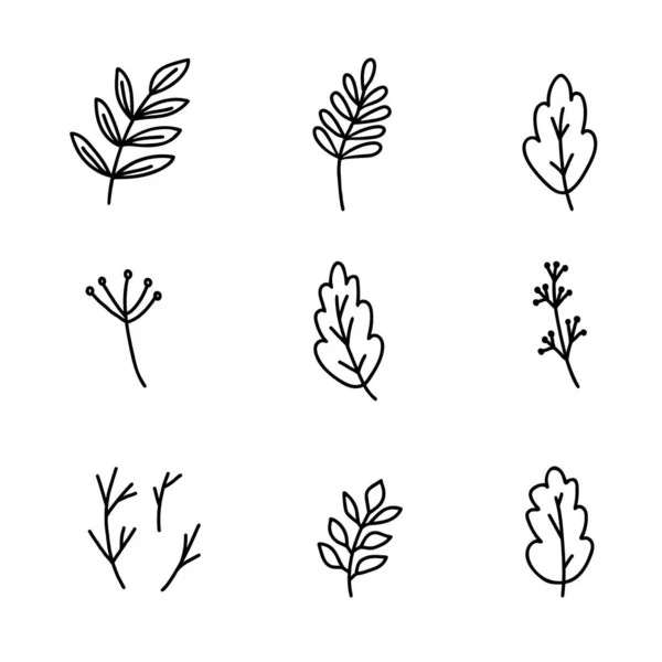 Χειροποίητα Doodle Διάνυσμα Εικονογράφηση Σύνολο Φθινοπωρινή Δάσος Στοιχεία Της Φύσης — Διανυσματικό Αρχείο
