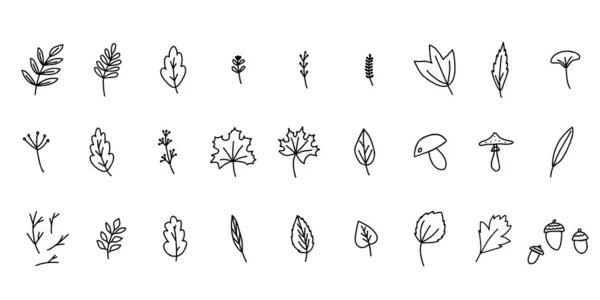 Ręcznie Rysowane Doodle Stylu Wektor Ilustracja Zestaw Jesiennych Elementów Leśnych — Wektor stockowy