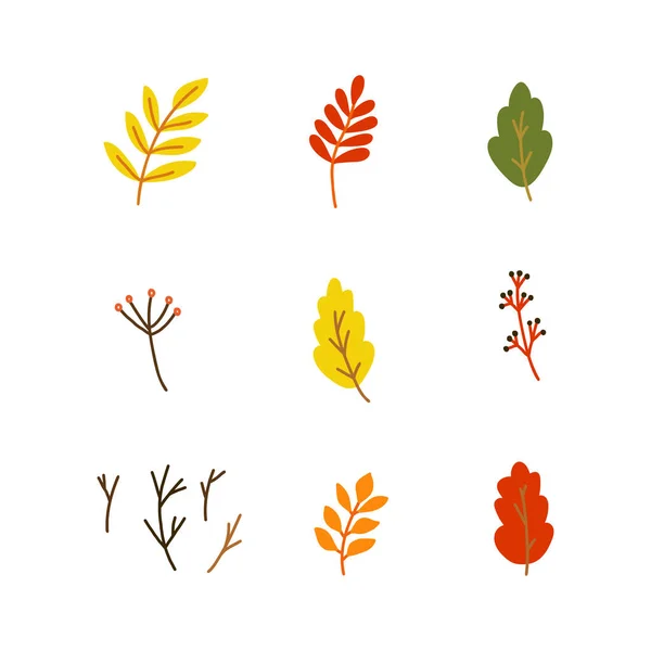 Набор Векторных Иллюстраций Стиле Осенних Лесов Таких Веточки Ветви Ягоды — стоковый вектор