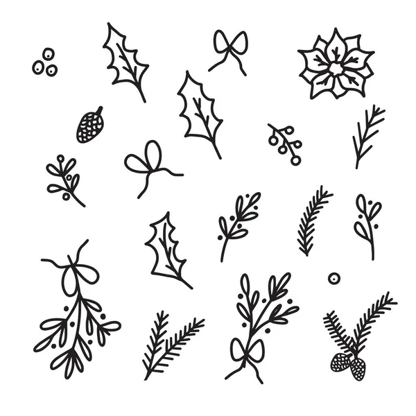手绘涂鸦素描图式矢量图解冬季植物如冷杉枝条 松果和冬青叶的圣诞装饰与浆果分离的白色背景 — 图库矢量图片