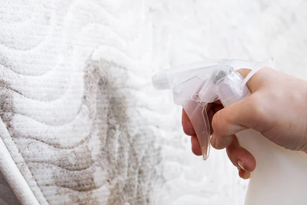 Solução Vinagre Spray Mão Pessoa Colchão Moldagem Sala Casa Para — Fotografia de Stock