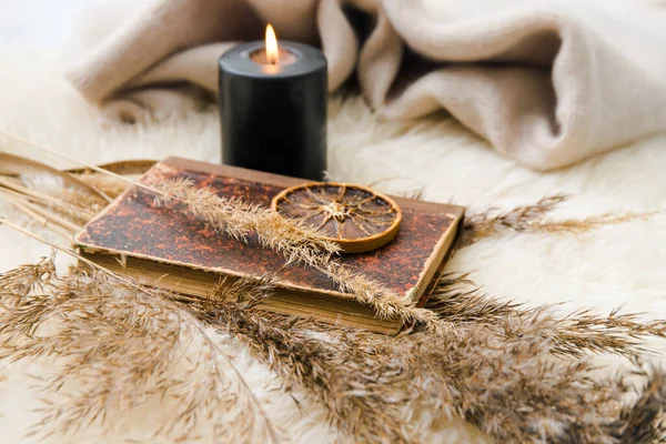 有选择地专注于古色古香的旧书 晒干的橙片 装饰用的芦苇草 家中的黑色蜡烛在毛毯上 舒适的冬季阅读概念 暖色相片 — 图库照片