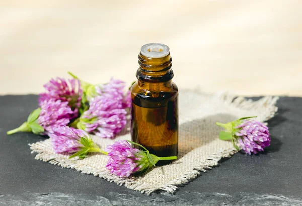 Selective Focus Trifolium Pratense Red Clover Brown Glass Tincture Bottle — Stock Photo, Image