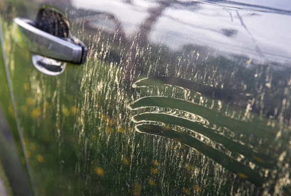 Yellow pollen grains layer on car paint. Trees and flowers pollen covering car exterior in spring, witch can damage your car\'s paint concept.