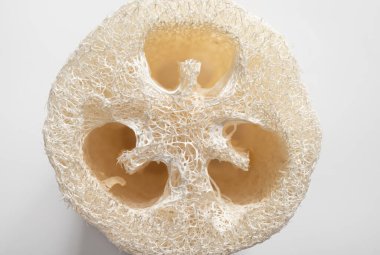 Close up view of loofah sponge, studio shot. Using loofah is not that great, it traps bacteria and can cause skin infections.