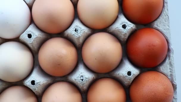 Kartondan Yumurta Kutusuna Rengine Göre Sıralanmış Bir Sürü Farklı Renkte — Stok video