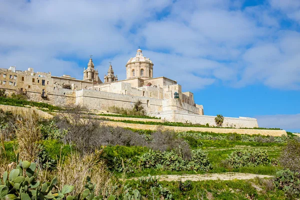 Fortified city called Mdina Maltese L-Imdina in Malta, Europe. City seen from outside of fort and walls, lush green fields around the city medieval walls.Fortified city called Mdina Maltese L-Imdina in Malta, Europe.