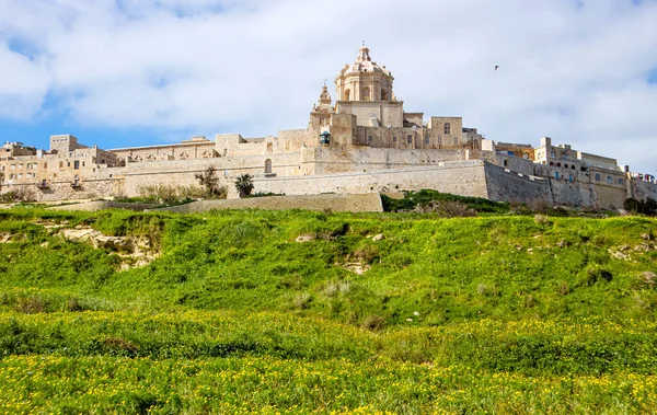 Fortified city called Mdina Maltese L-Imdina in Malta, Europe. City seen from outside of fort and walls, lush green fields around the city medieval walls.Fortified city called Mdina Maltese L-Imdina in Malta, Europe.